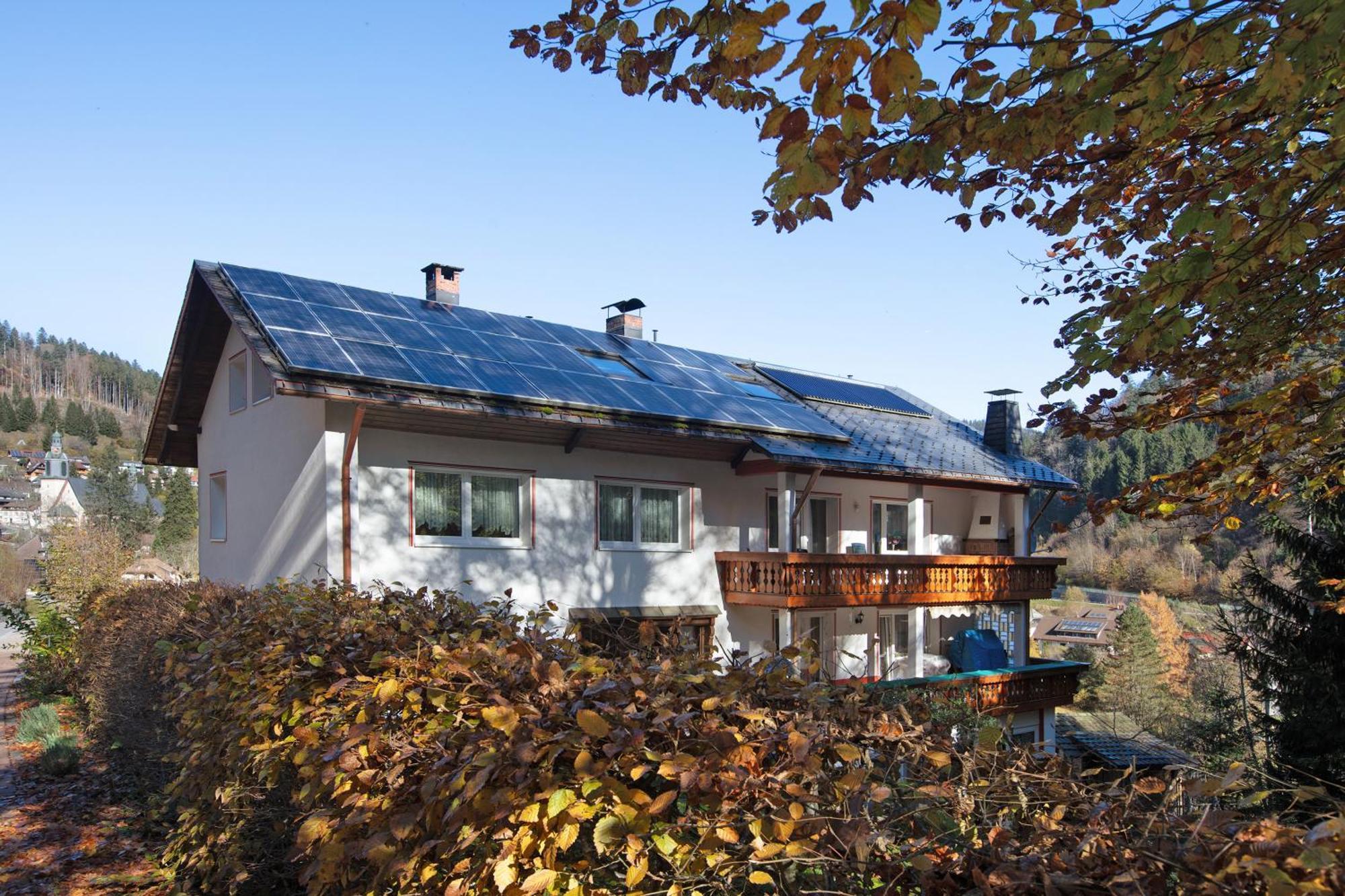 Haus Monika Hotel Todtmoos Exterior photo